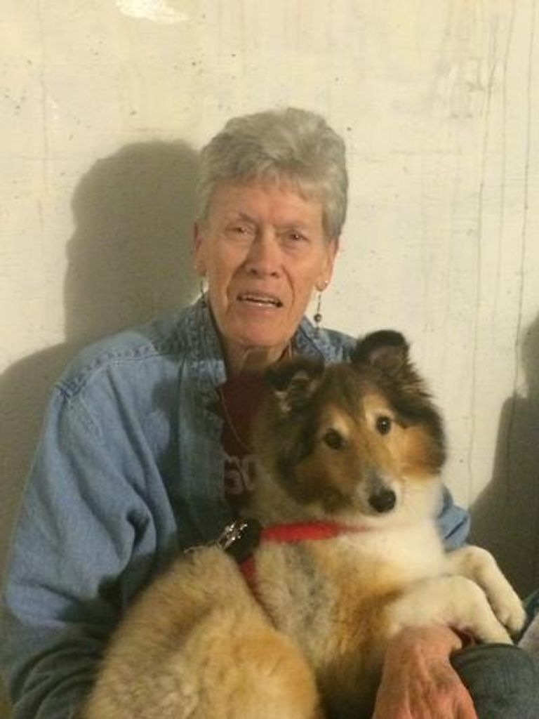 Julia Flowers Profile Photo