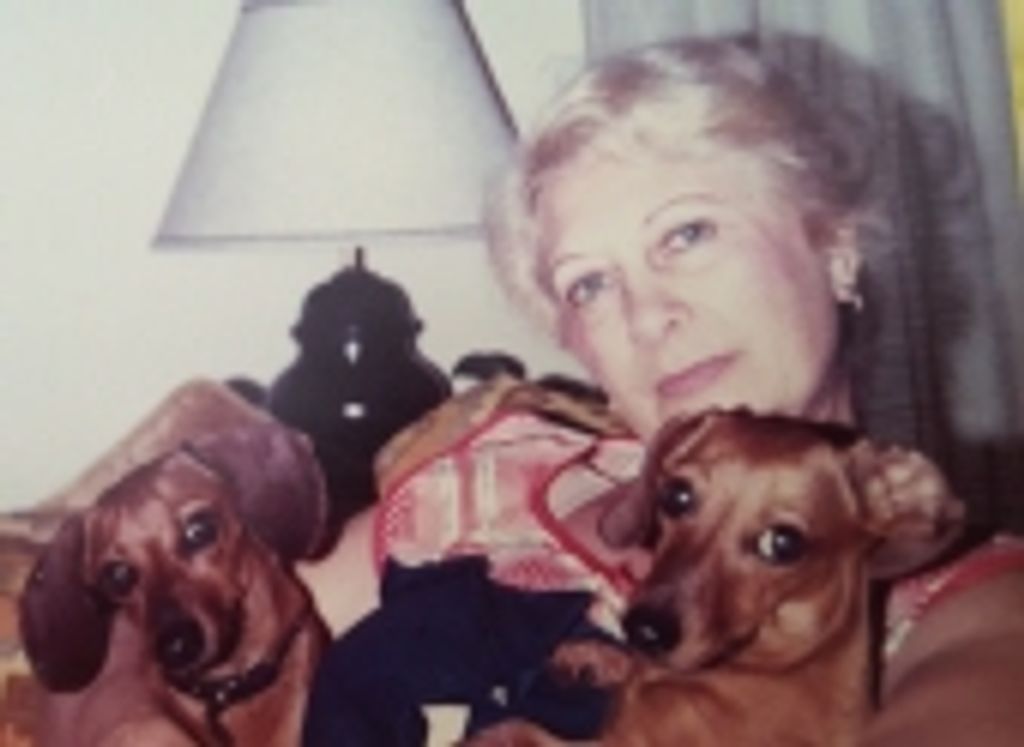 Amelia Earle Profile Photo