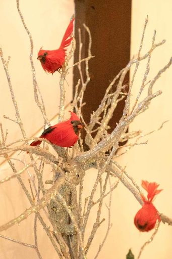 Sandra L. Stowers photo gallery thumbnail 61 of 100