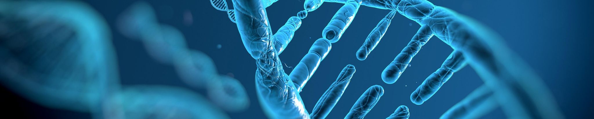 Cover for Donald P. Brezinski's Obituary