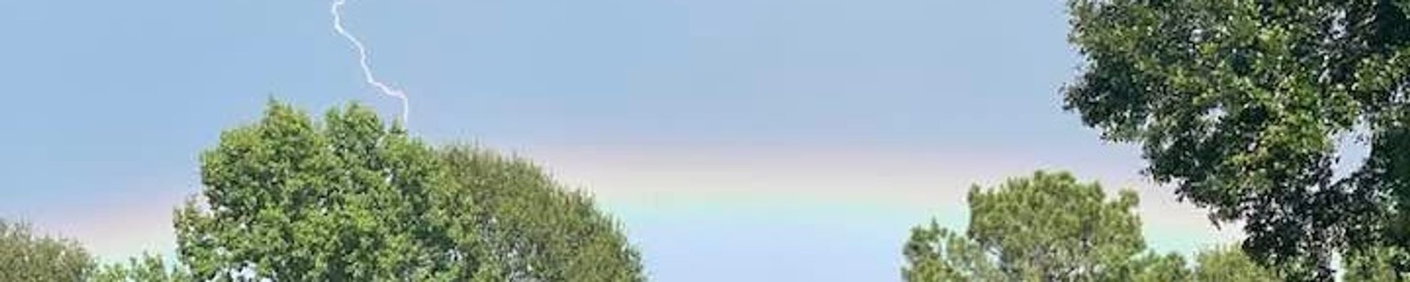 Cover for Lois Annette Carver's Obituary