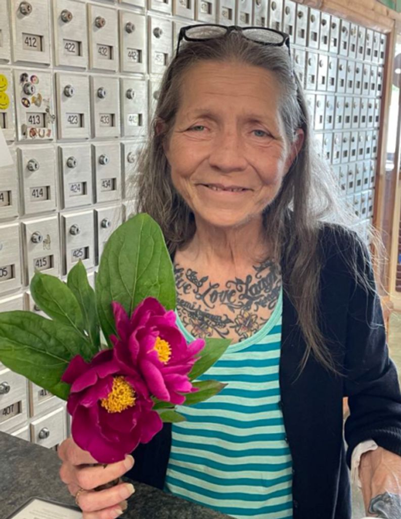 Dani M. James Profile Photo