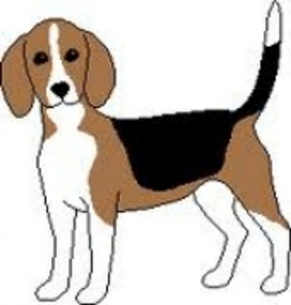 Emily Rudd Profile Photo