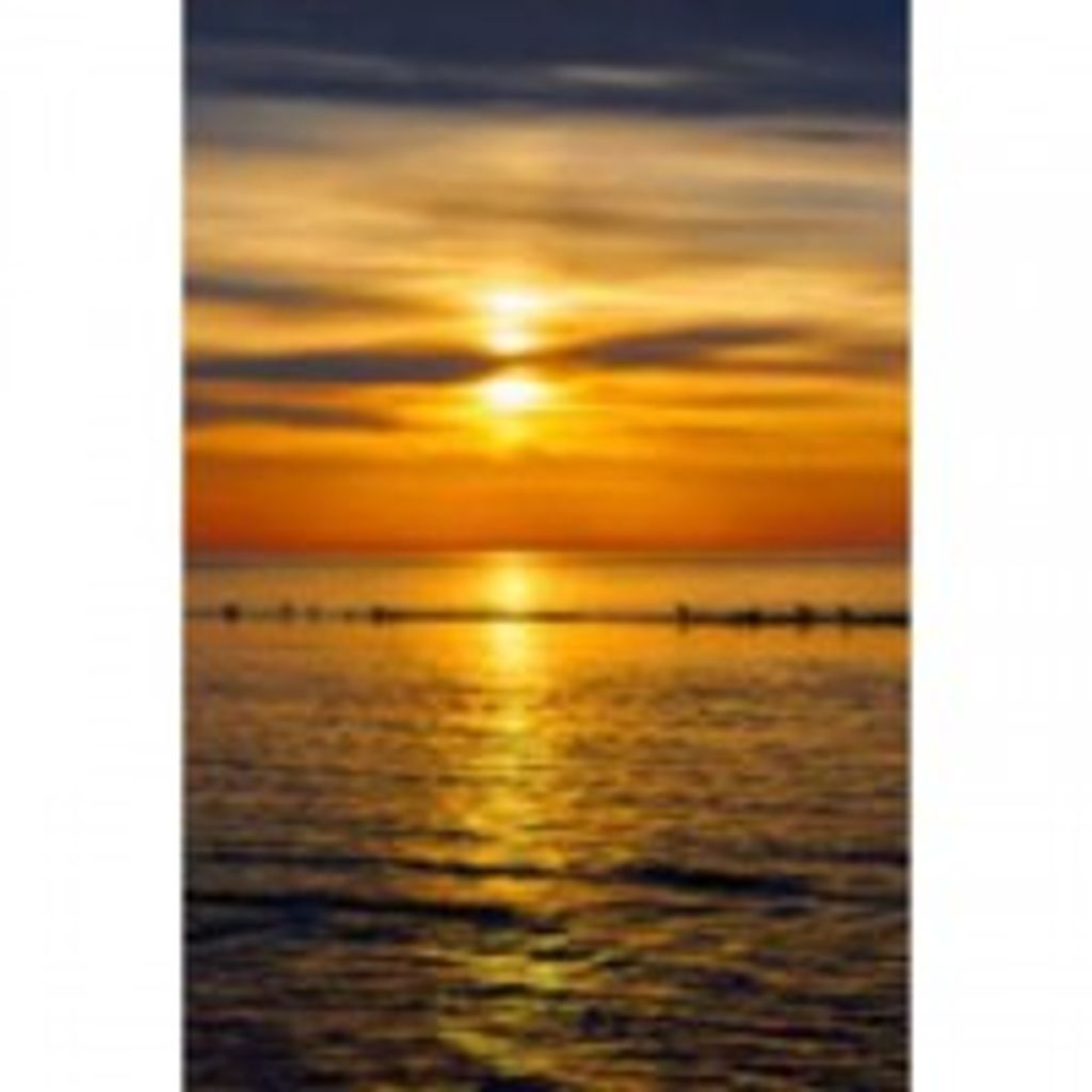 Debra Galanek Profile Photo