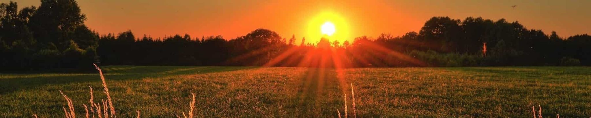 Cover for Susan Dee "Shona" Keller's Obituary