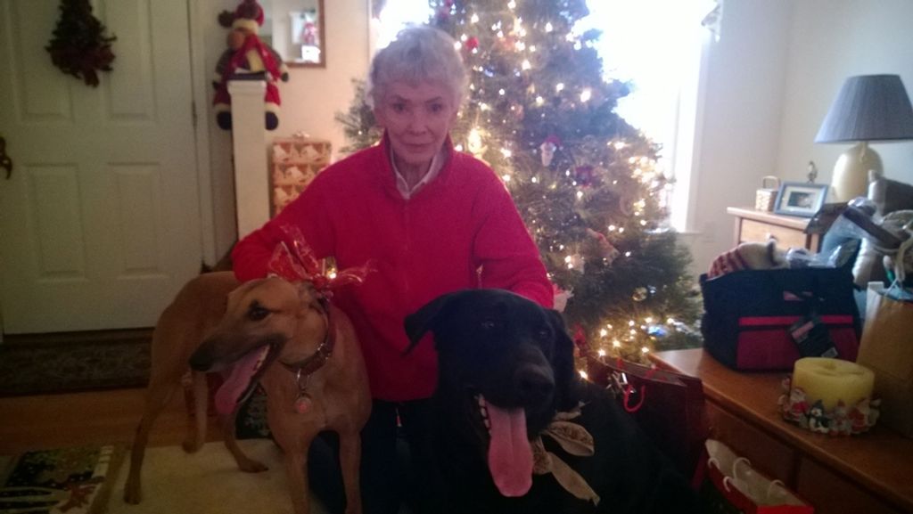 Jean Murphy, Ed.D. (Tomlinson) Murphy, Ed.D. Profile Photo