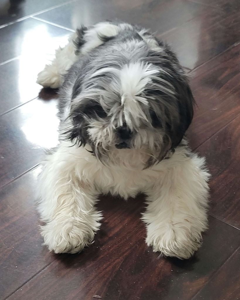 Lola Luciano Profile Photo