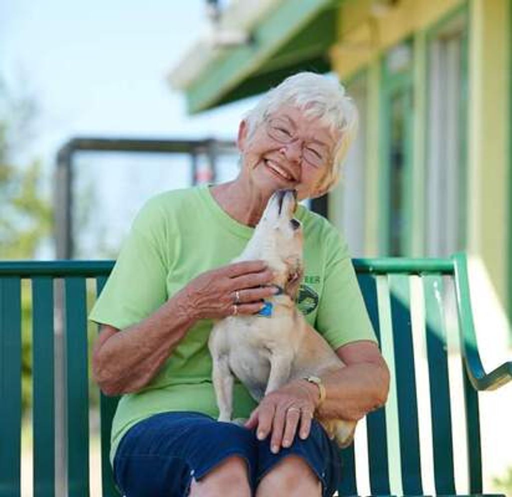 Elaine Frances Jelsema