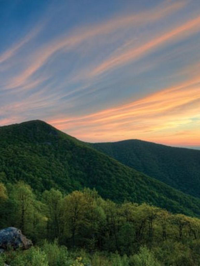 Samuel Luther Spicer Profile Photo