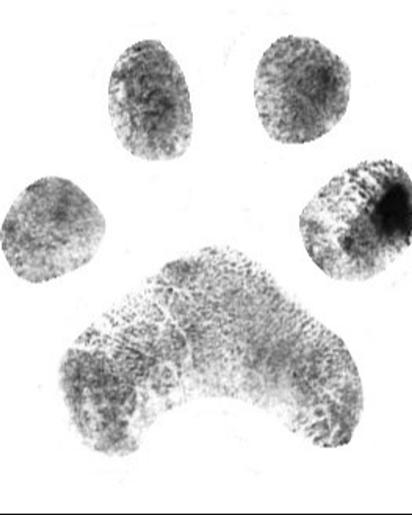 Charlie Grace Markham Profile Photo