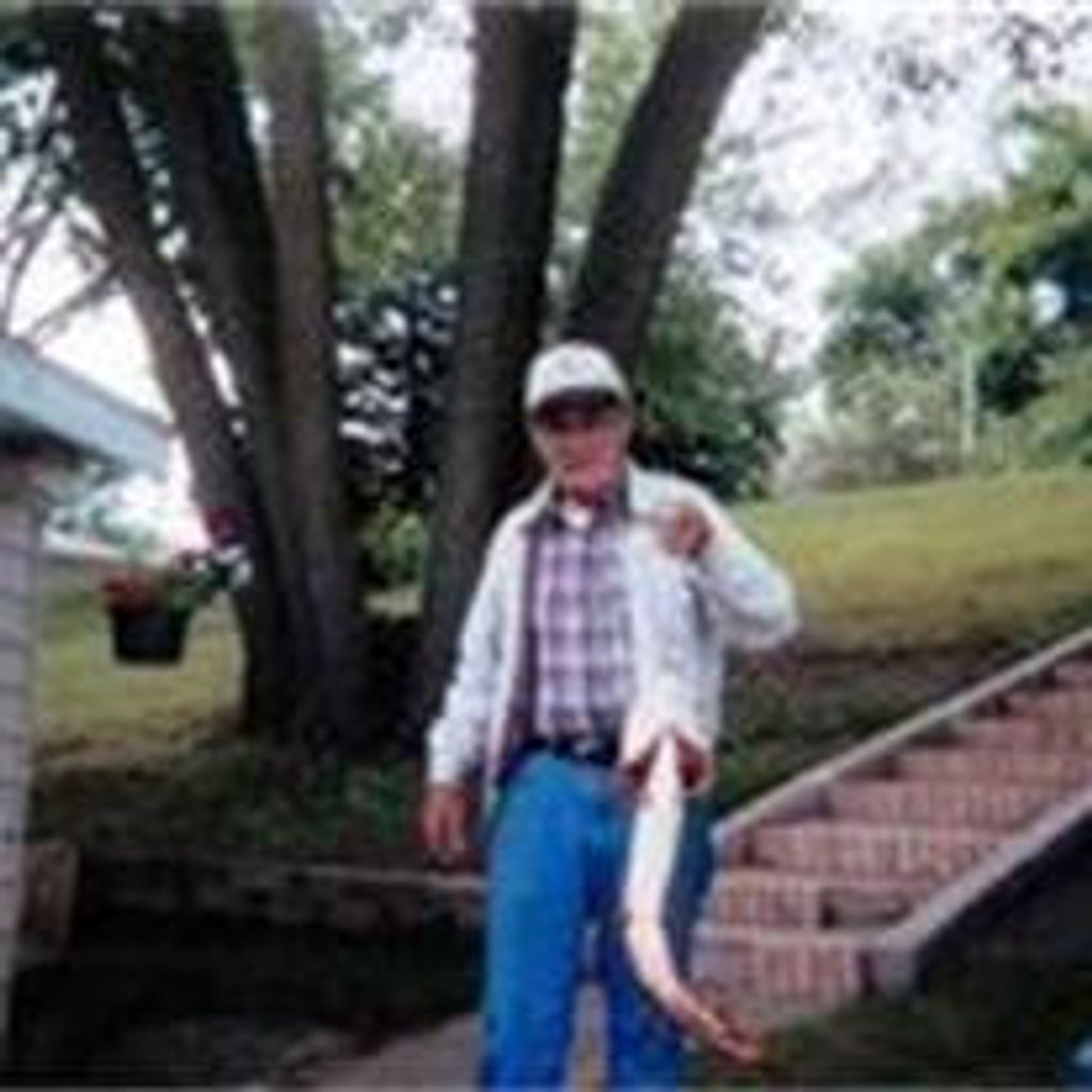 Robert Wiedeman Profile Photo