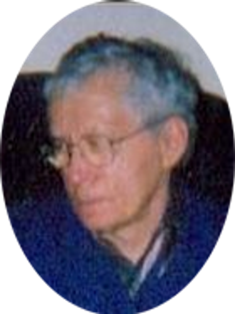 Leroy  N. Steffen
