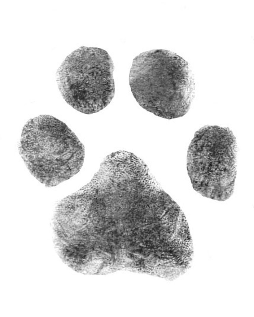 Elly Cobb Profile Photo