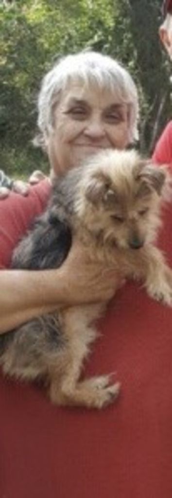 Sandra A. Thibodeaux