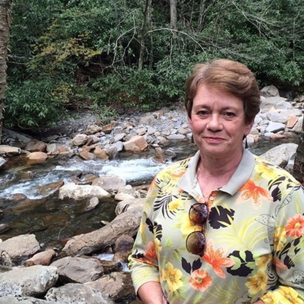 Ann Walton Passavanti Profile Photo