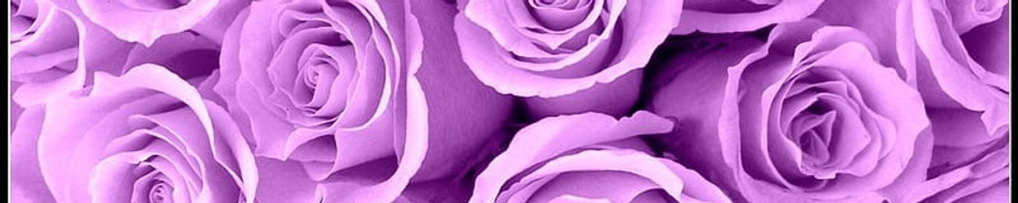 Cover photo for Elvlyn R. Raines's Obituary