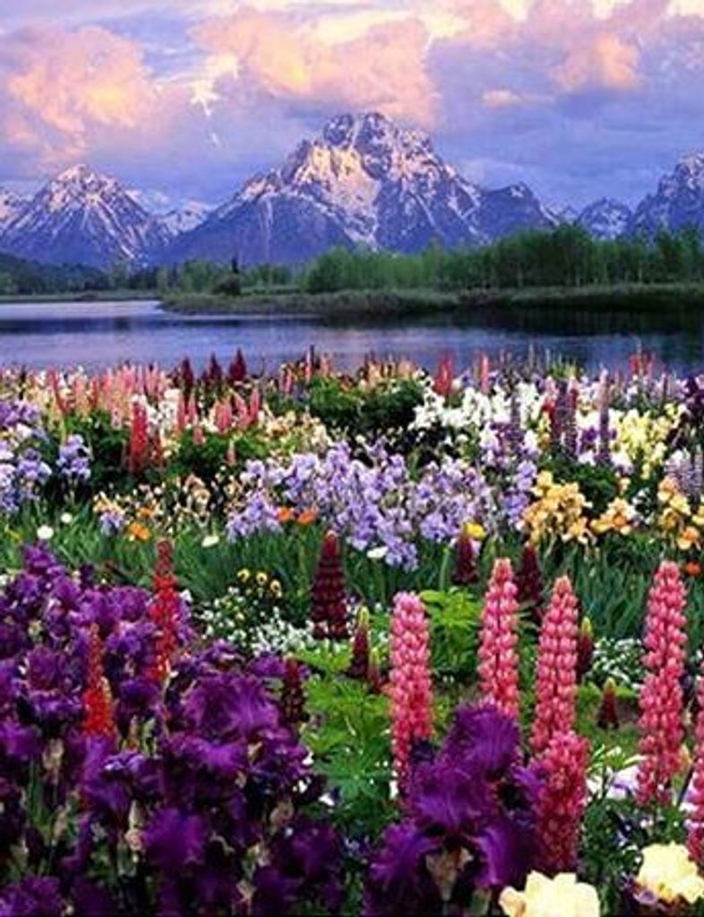 Muriel Fisher Profile Photo