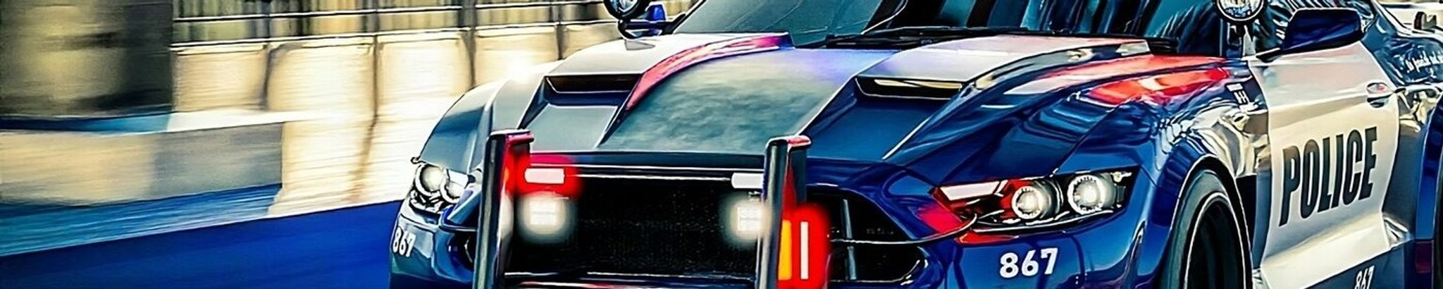 Cover for Telisha Fachel Anderson's Obituary