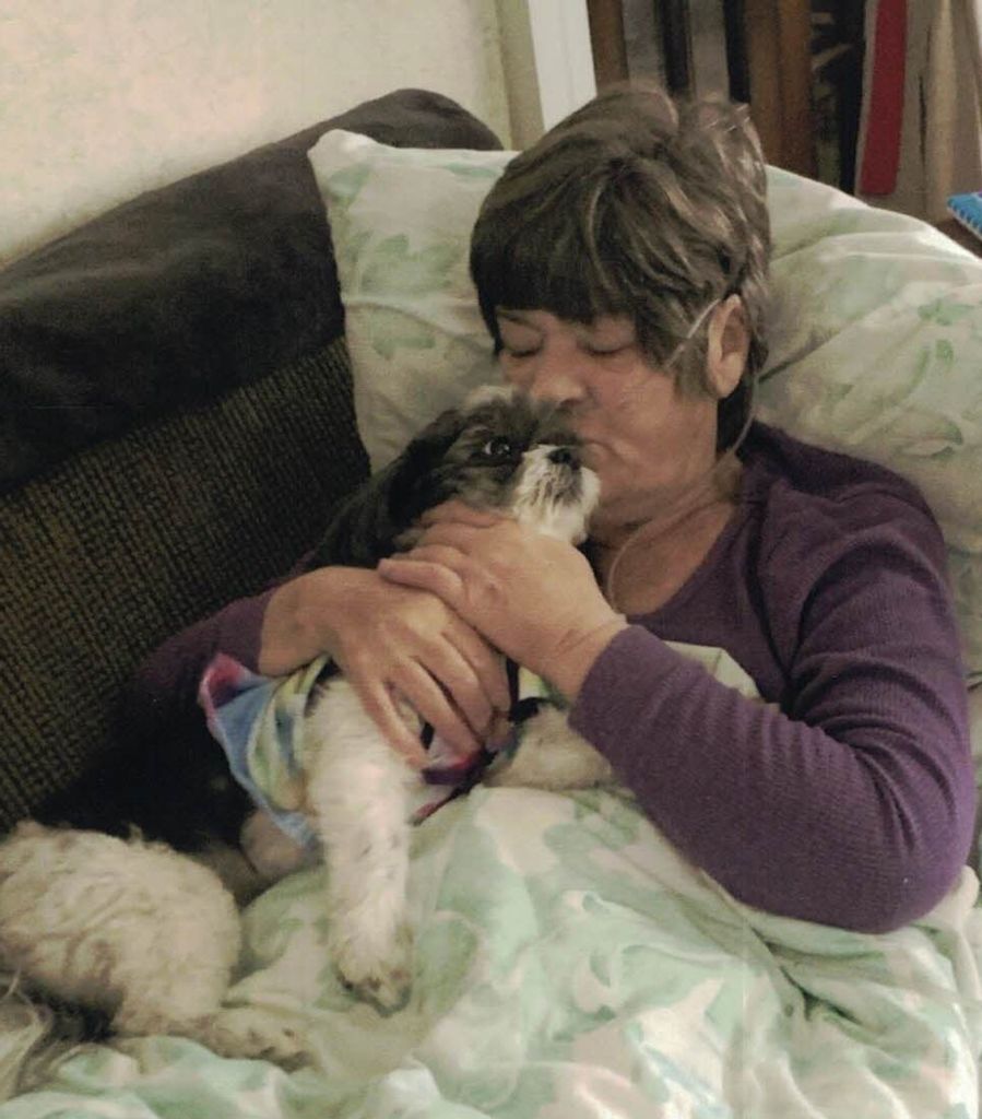 Ingeborg Ursula Dinklage Profile Photo