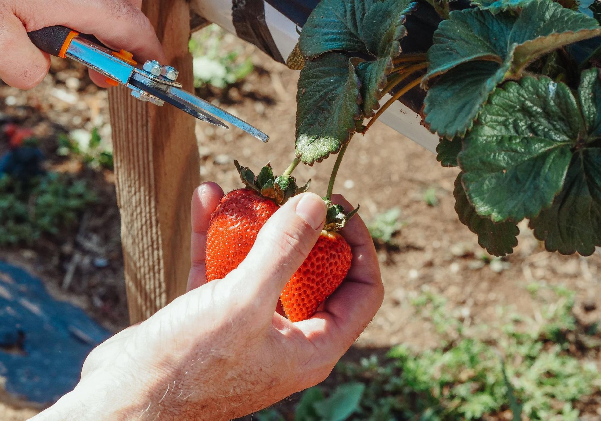 Cover for Laurence Edwin Hull's Obituary