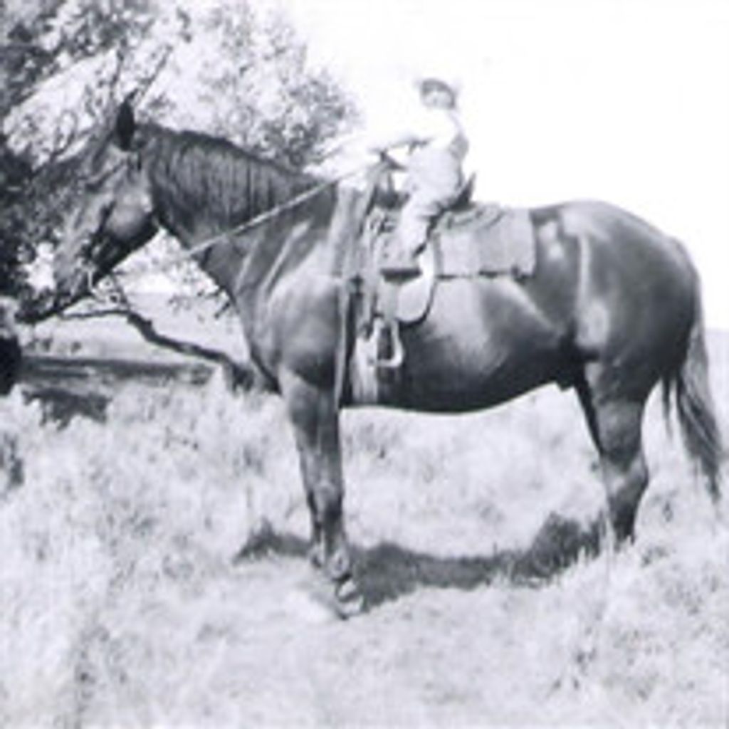 Mrs. Lois Erdman