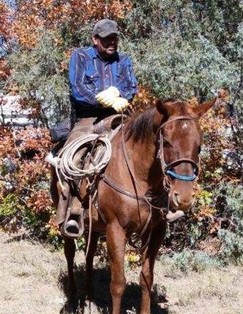 Nelson J. Sanchez Profile Photo