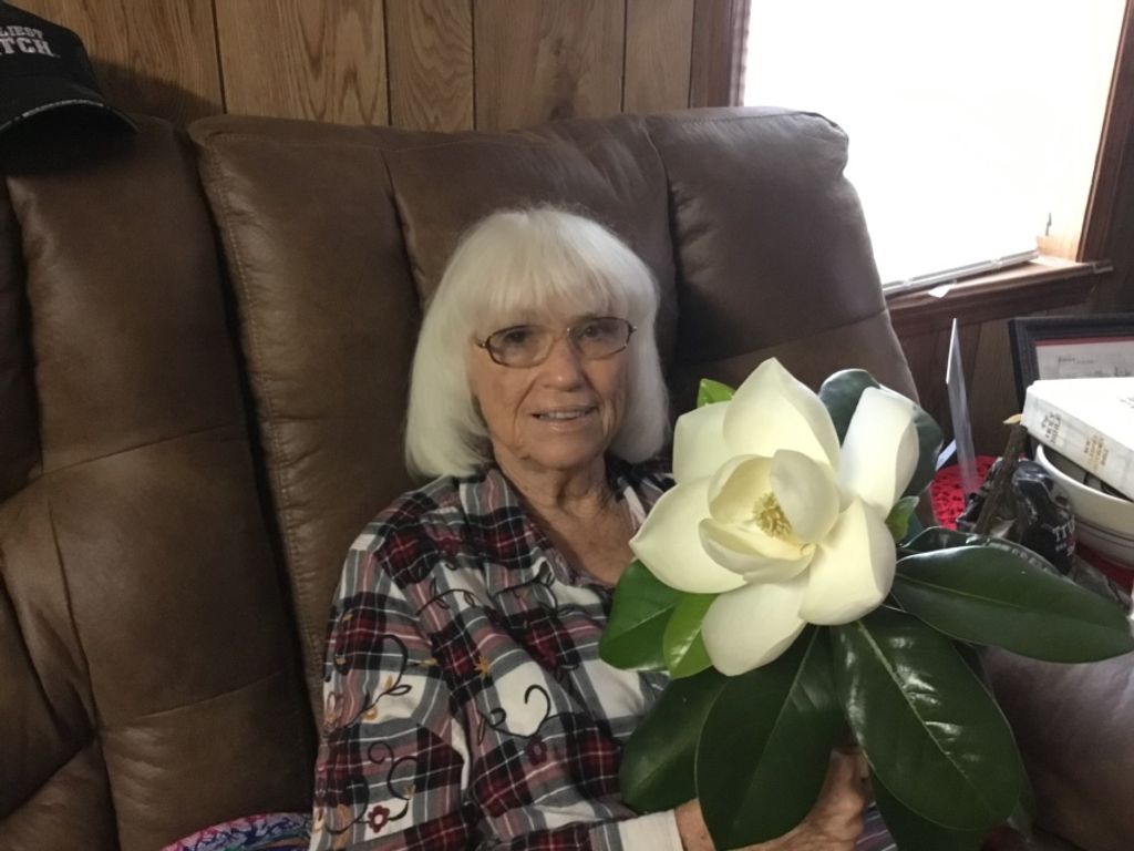 Lajean (Linthicum)  Lloyd Profile Photo