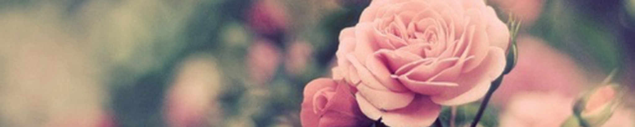 Cover photo for Norma Simmons Cardwell's Obituary