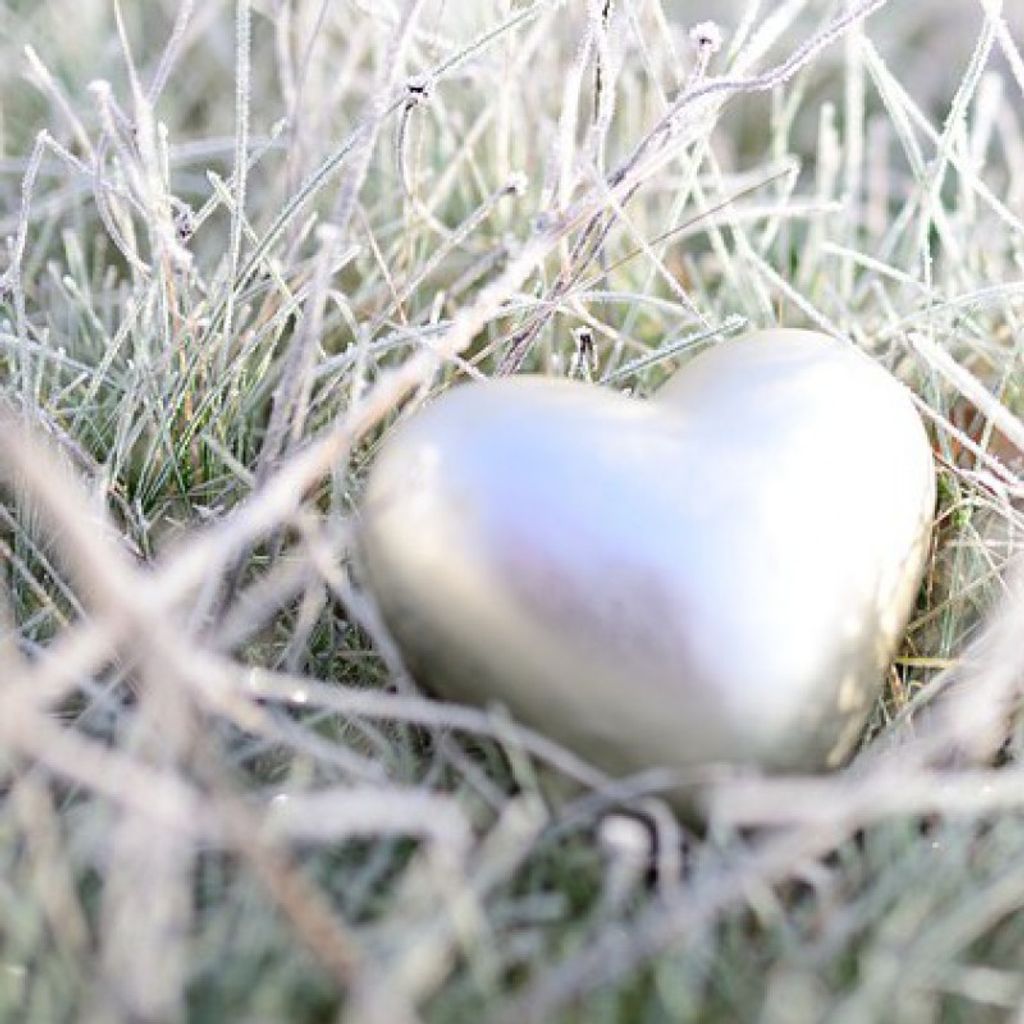 Karen Renee Schory Profile Photo