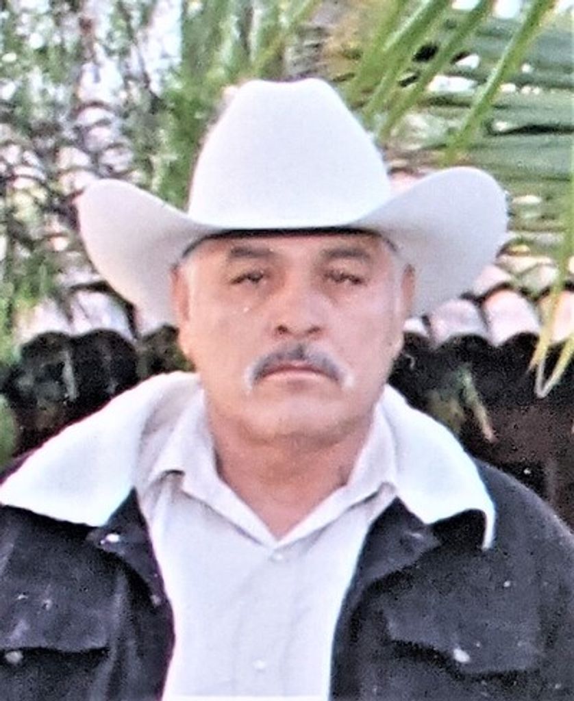 Adolfo Medina German Profile Photo
