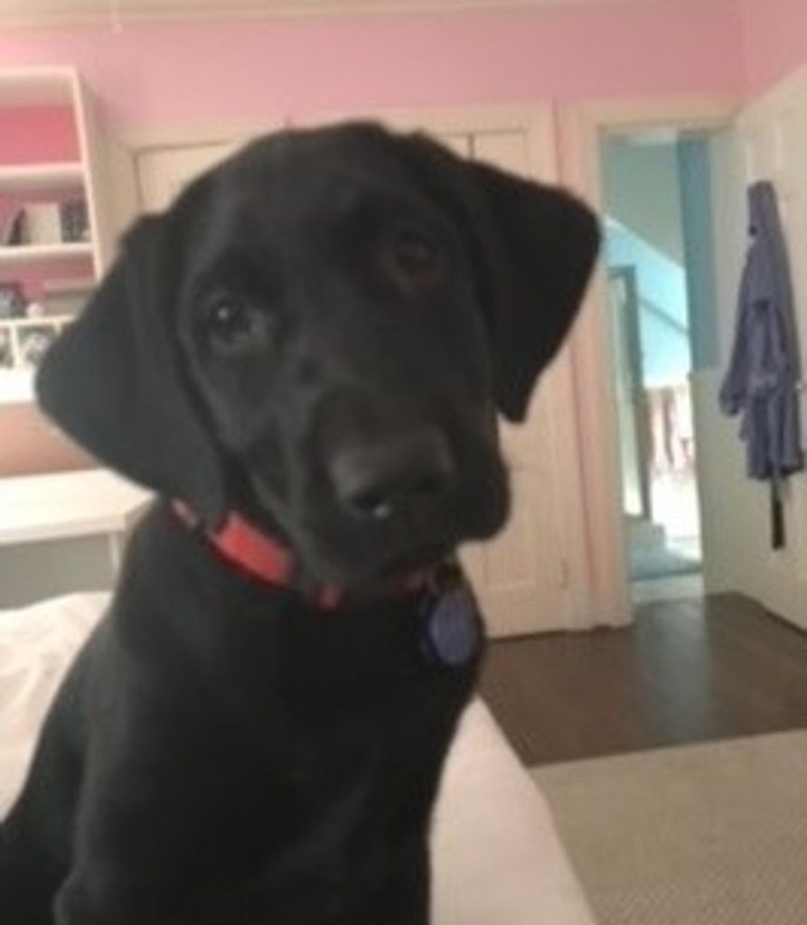 Teagun Quinn Profile Photo