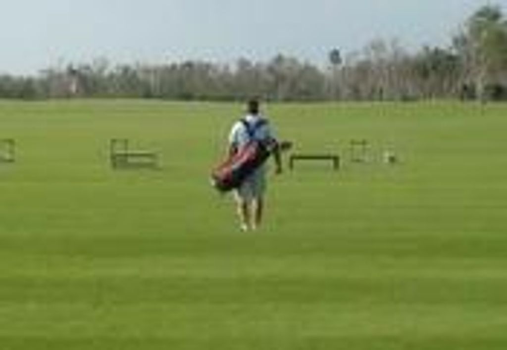 Todd Andrew Peter Shalton