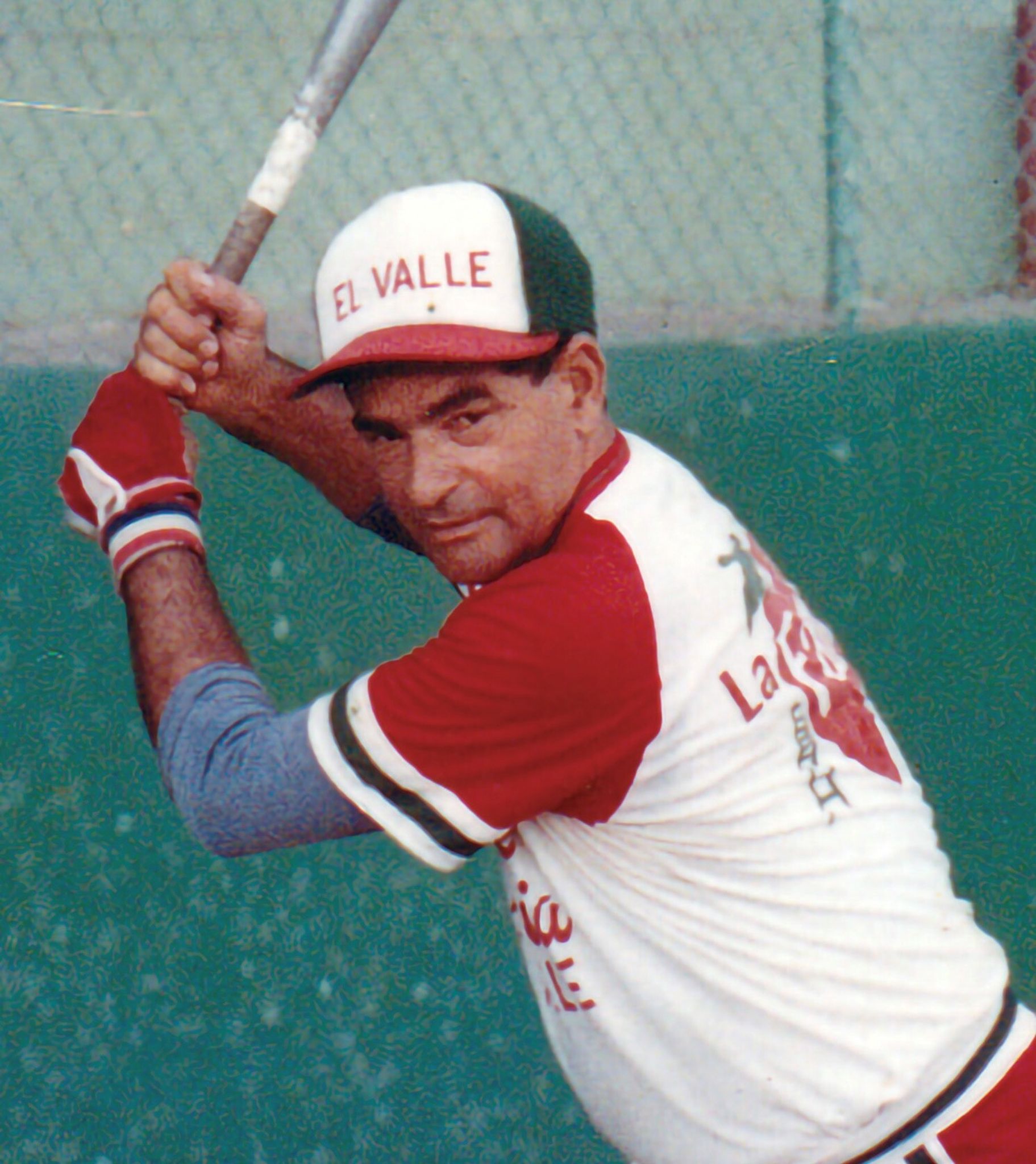 Scream Queen Horror Movie Plant Stake - Elvira, Morticia, Vampira, Lily and  Bride of Frankenstein - Etsy, image size:1823x2048