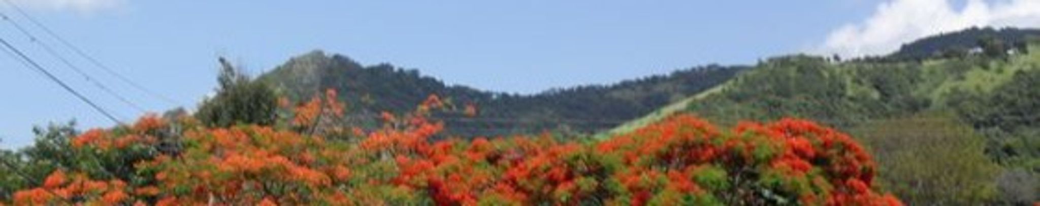 Cover photo for Alejandro Rodriguez's Obituary