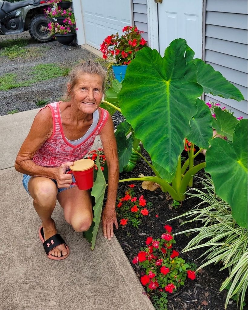 Evelyn "Kay" Wallace