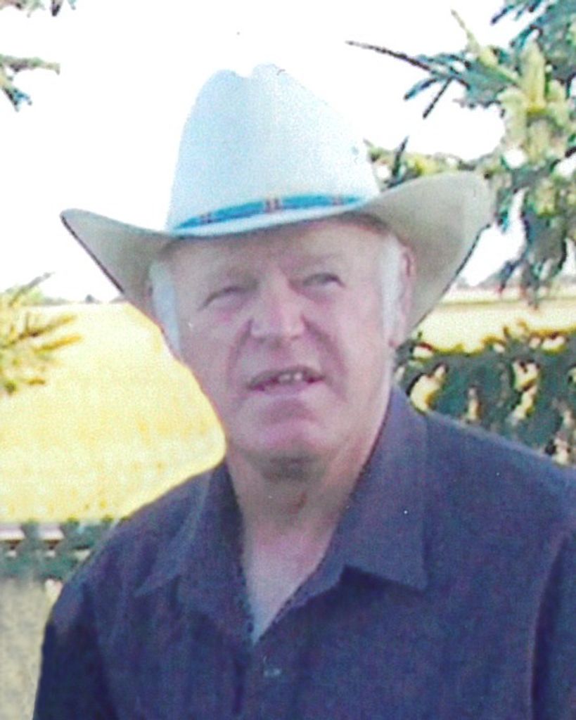 Larry A. Vander Poel