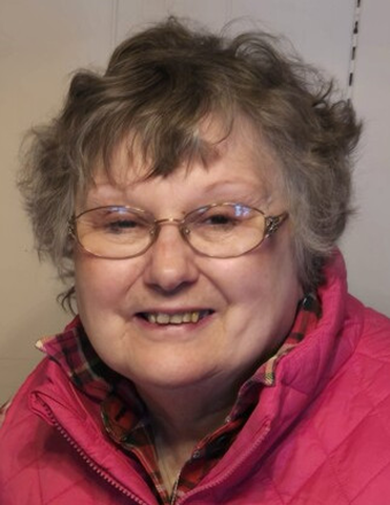 Carol Ann (Chaney) Willsey