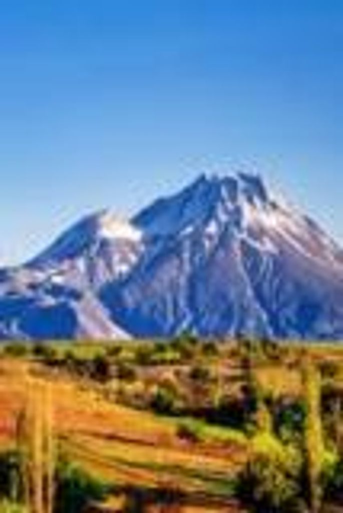 Roberto Sanchez Profile Photo