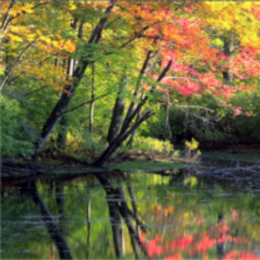 Craig Raymond Mockbee