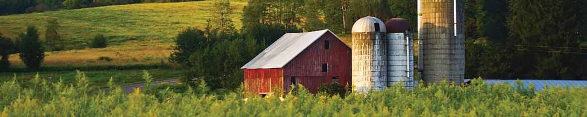 Cover for Mary A. Hamerski's Obituary