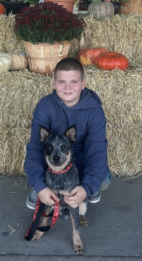 Levi Tysinger Profile Photo