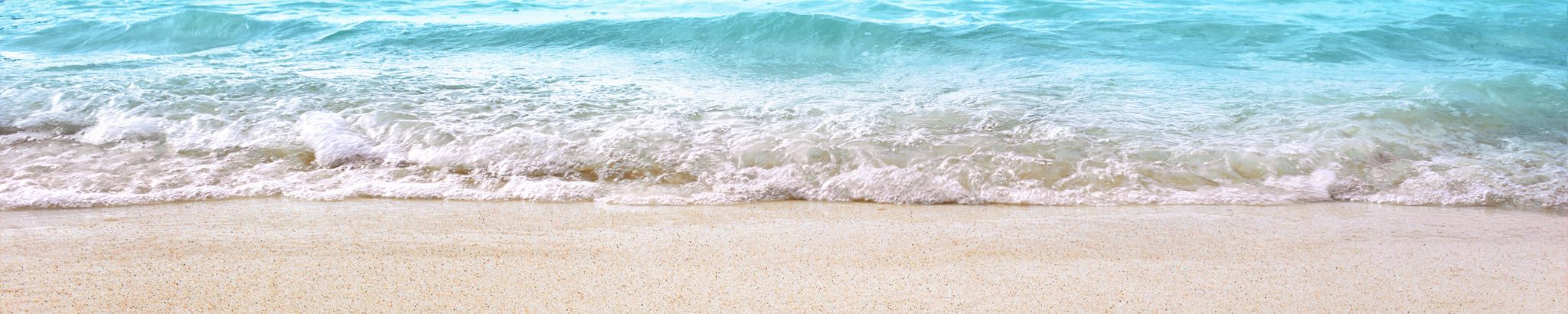 Cover for Deborah A. Kovacs's Obituary