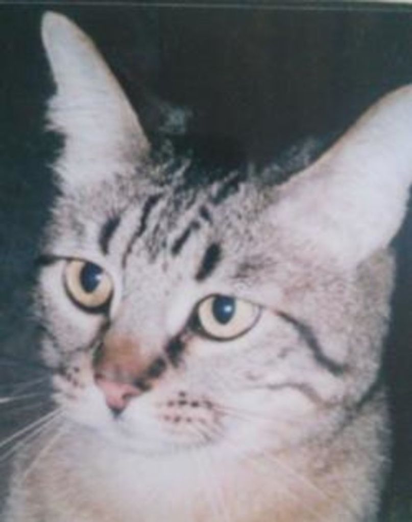 Max Walker Profile Photo