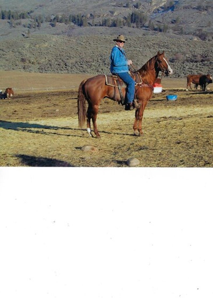 Dal Emery Dagnon Profile Photo
