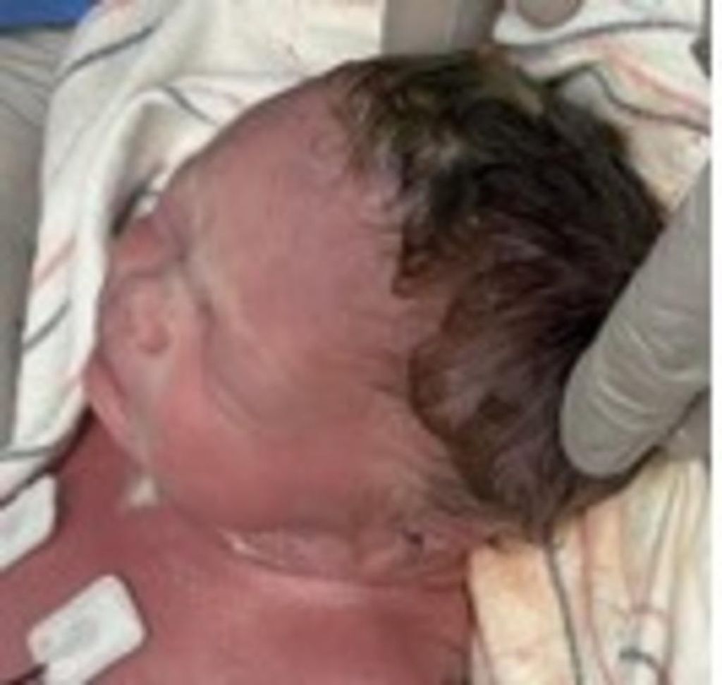 Jadalynn Rose Sollenberger Profile Photo