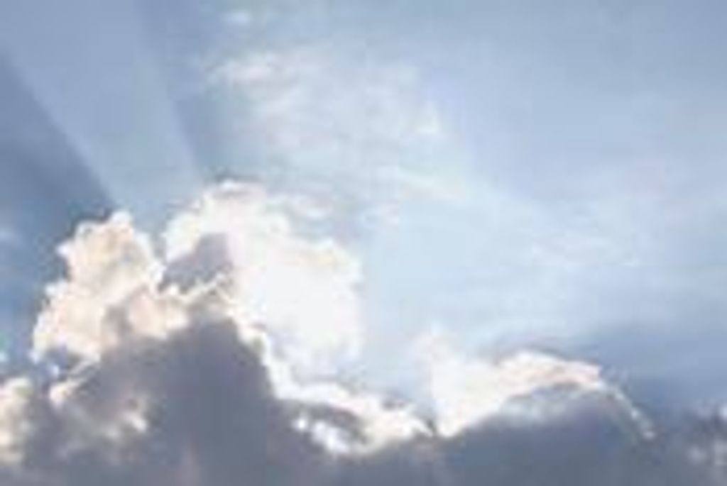 Mae C. Dynes Profile Photo