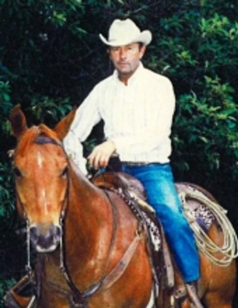 Albert  Edward Palmer