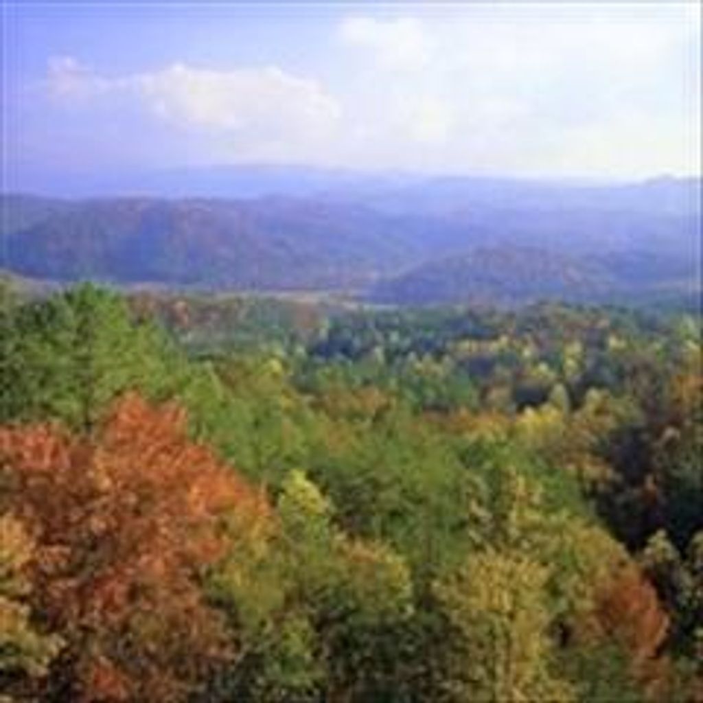 Frederick Mount Copes, Jr. Profile Photo