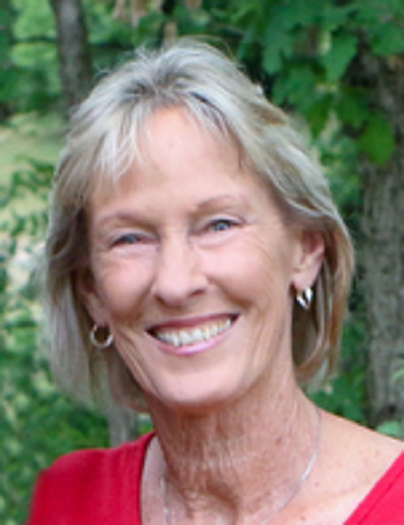 Linda  Ann (Brandstatt)  Harmsen Profile Photo