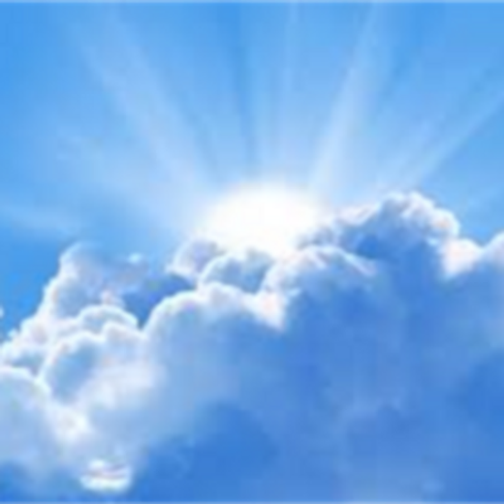 Murray Philip Samuels